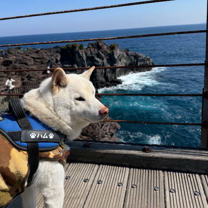 9459439a 68dd 4472 8c7e 5cc00c09dbd1 1773291527535