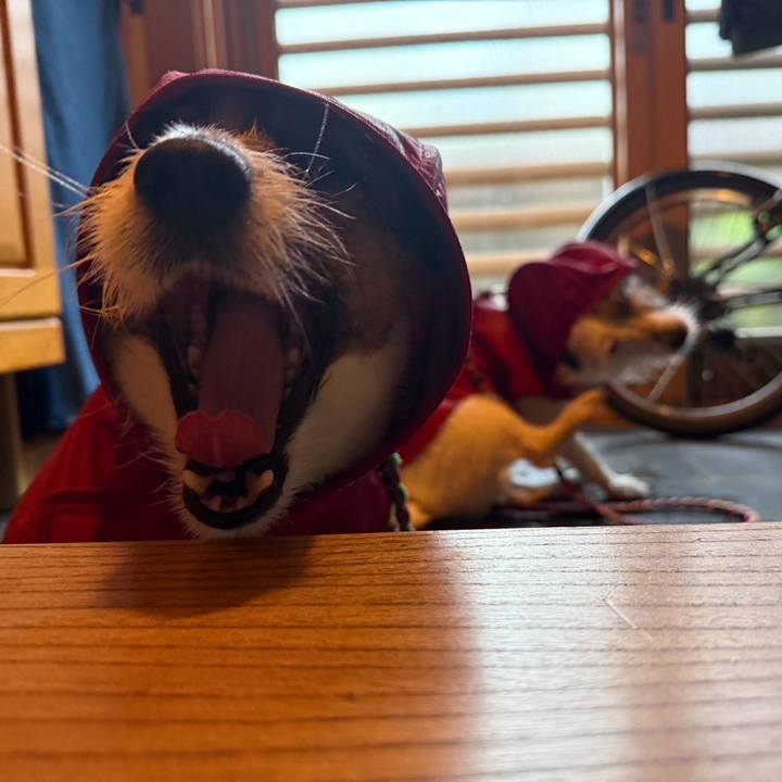 9459676b 430d 4906 9380 460e5e43c85b 1745360947247