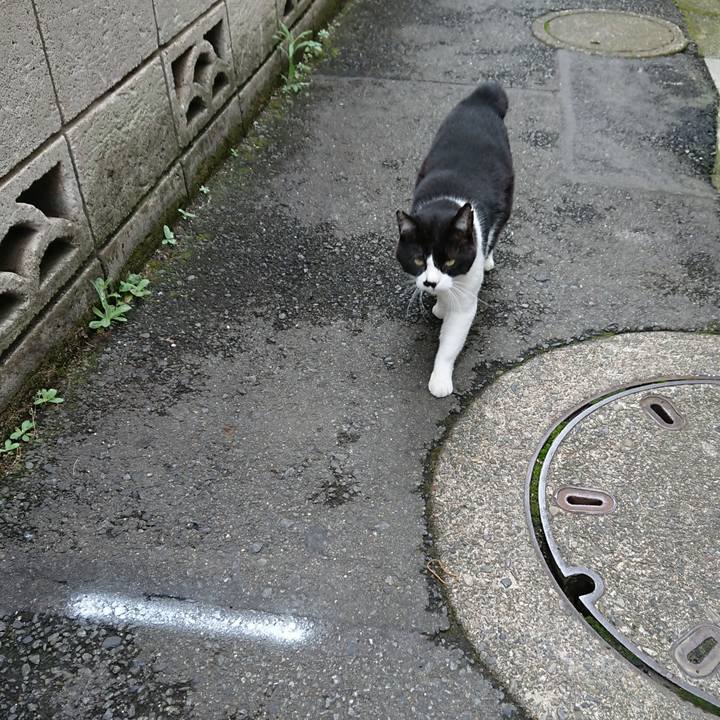 94597af0 f518 474d 97ab be89681bc0c4 1529121492885