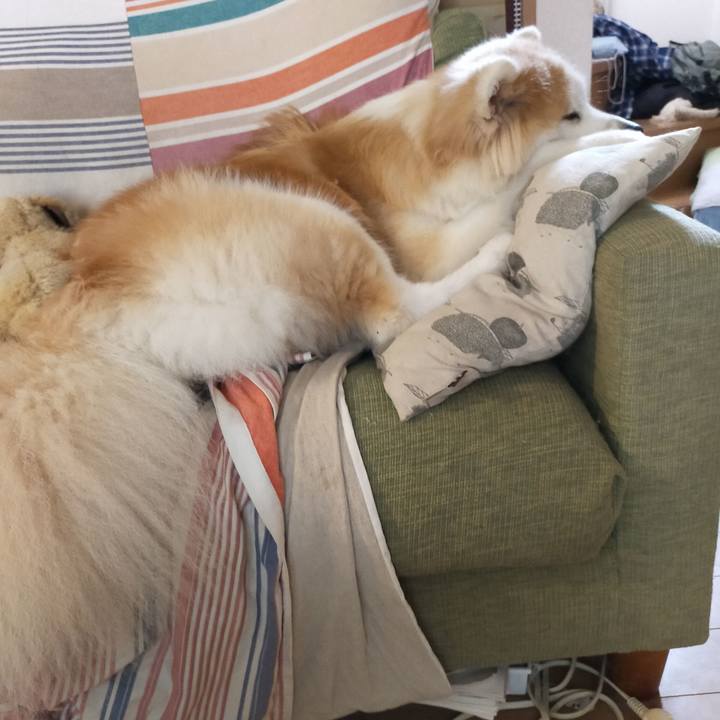 94599907 27b2 42f5 9dd6 03900bfc3180 1661175339074