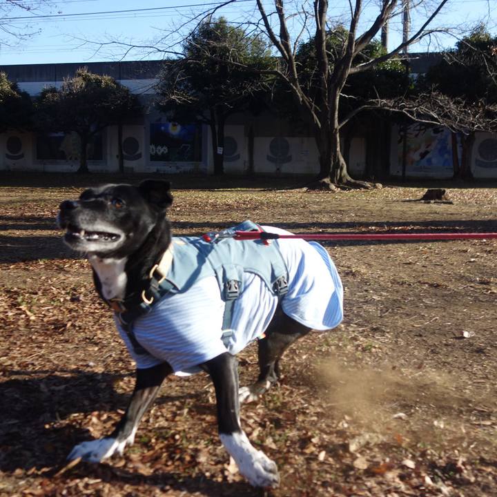 9459bad0 e245 4ed4 ac03 047a6f6b5aee 1703816431265