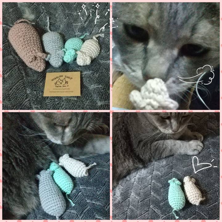 9459cd7b 6a4a 419e b1a8 c710b0ec3742 1629205749821