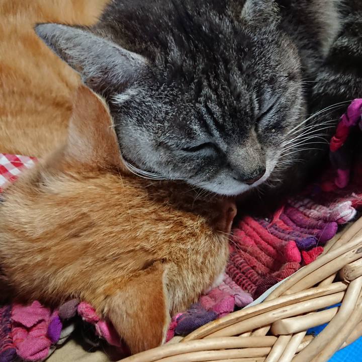 9459f0f8 7e2c 40ec 96fe 5929a6132634 1558302362051