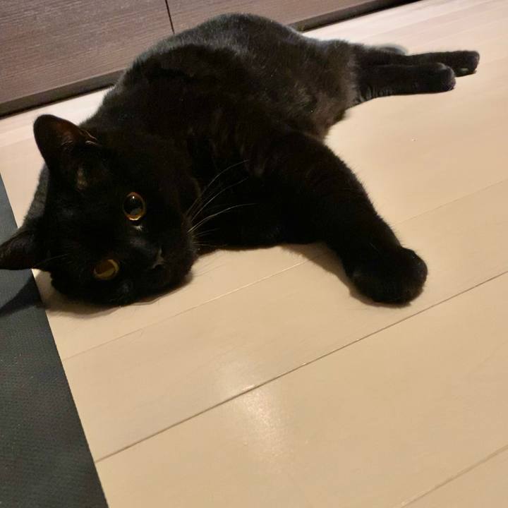 945a2640 18bf 43d2 bfa2 0e455d309efe 1695646431048