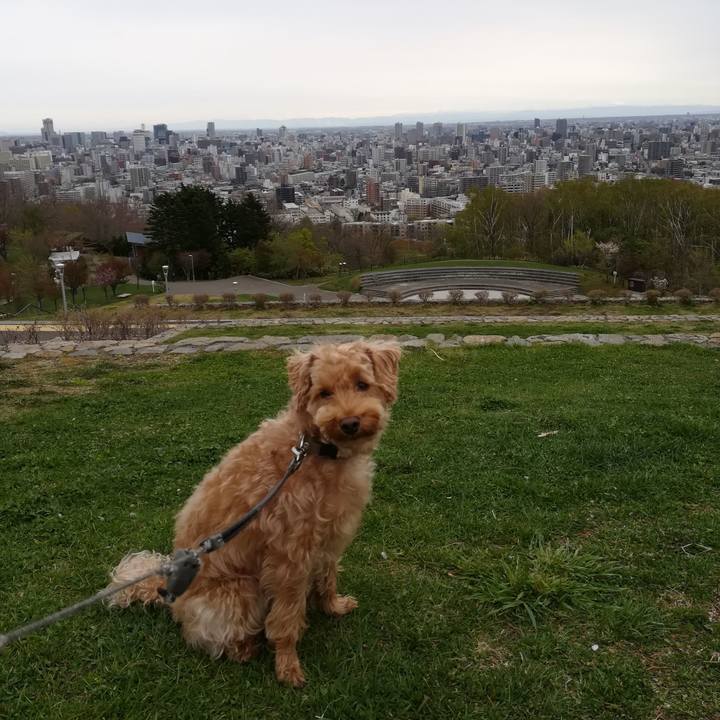 945aba69 39c2 4e8d 8728 76d420e00137 1525566208718