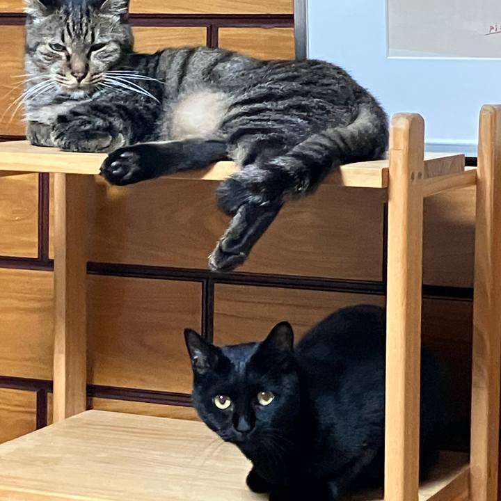 945abfde ba10 4c3d b26e 205c9ec0dfa5 1760017456505