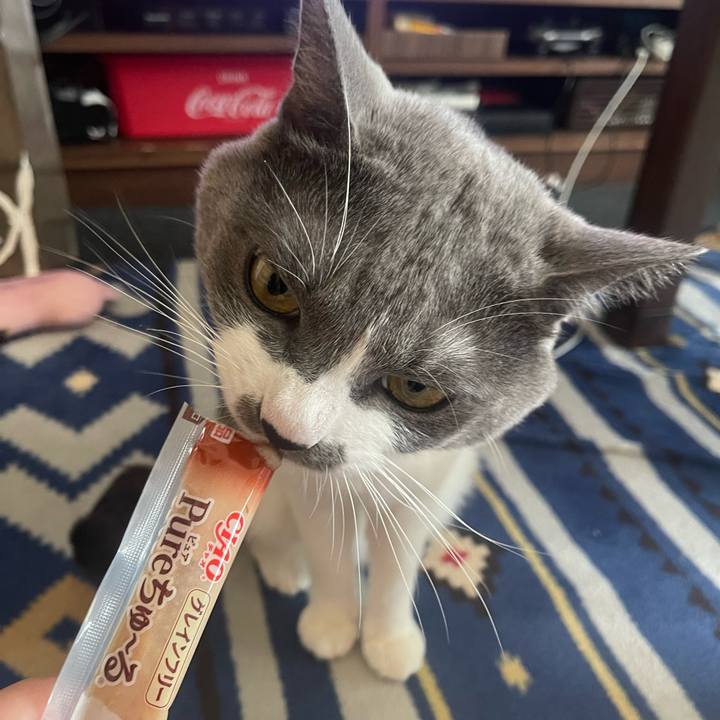 945b09a0 3cb1 4027 97ad 687677a7db44 1667890949986