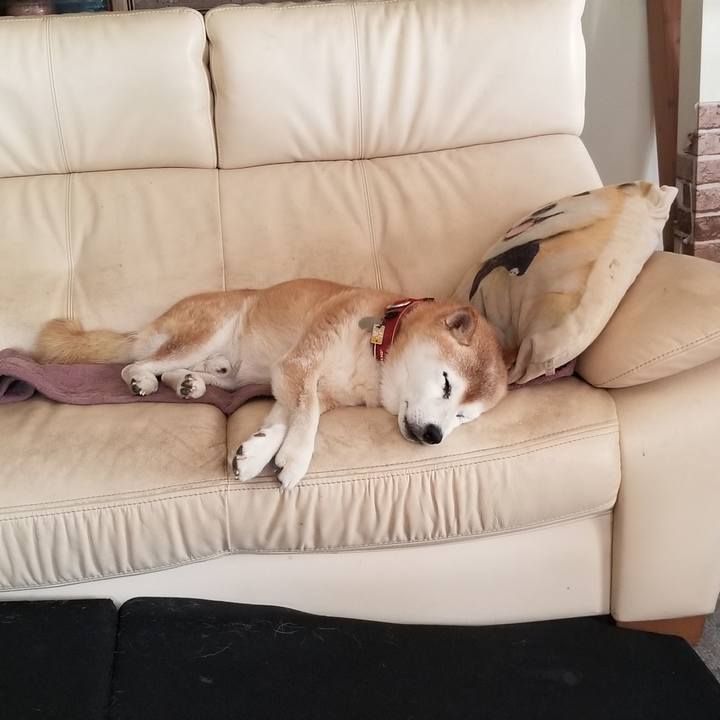 945b0e3d e05a 452b bd5a f36155d3d44e 1756439649489