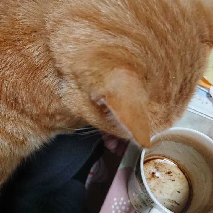 945b5128 6975 46a5 a042 7a47cf19ada5 1587853289613