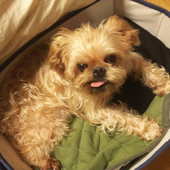 945b606b 8e75 40b2 9999 96651daecb5c 1531492600522