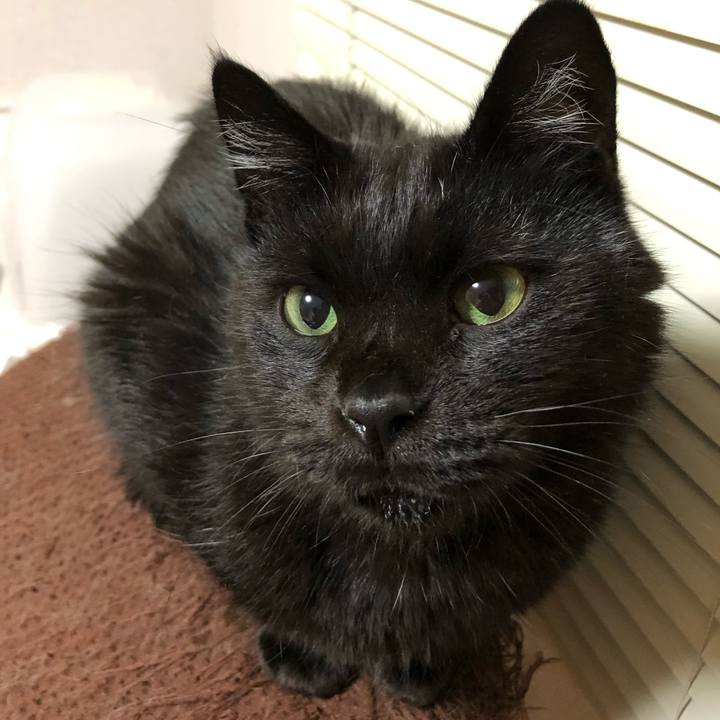 945bbc5c 35bf 4bf6 bf95 4134d1de8925 1601206024547