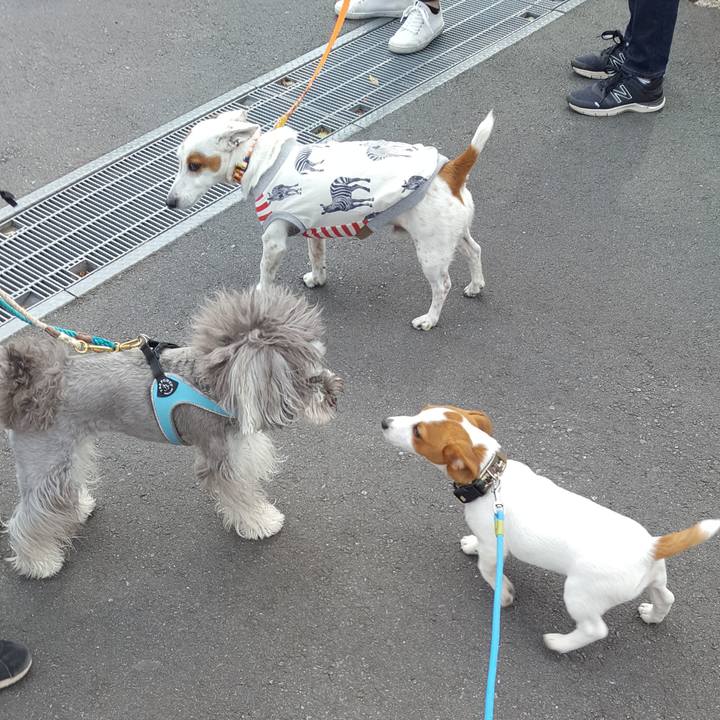 945c16e2 c303 4837 8670 12145470ea97 1552185626431