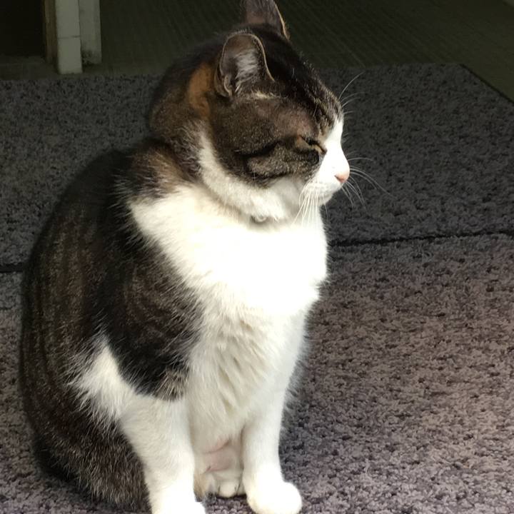 945c369e e5b2 4987 b8b9 7d9a26ec40b0 1521985765998