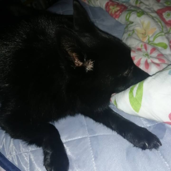 945c6033 1642 4853 9400 556b5e60ac3e 1631311430307