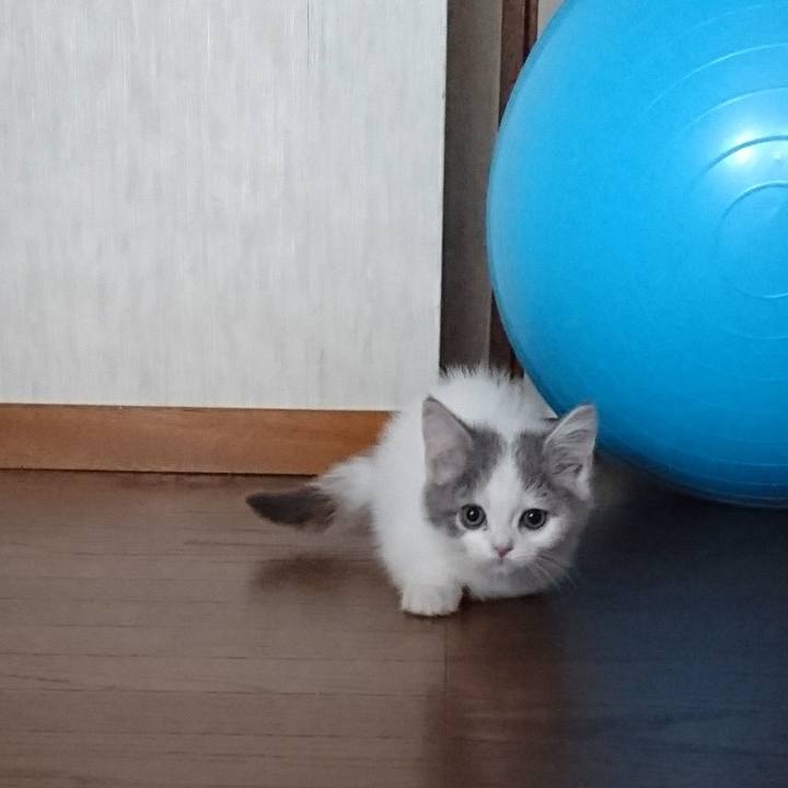 945c6657 503c 4b1e ab5c a5e6f8c1f114 1525735480866