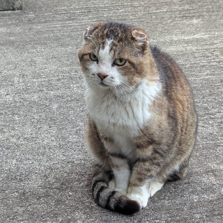 945c9178 4197 4264 810d 9c337f95008d 1742293864921