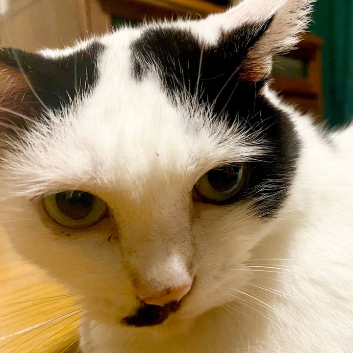 945c96d4 32e9 43b3 9130 c808593a837b 1726496433873