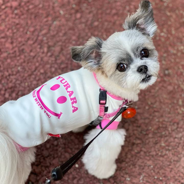 945cd979 c49c 4dfa 89dd 3d6b9468cc1f 1654324197237