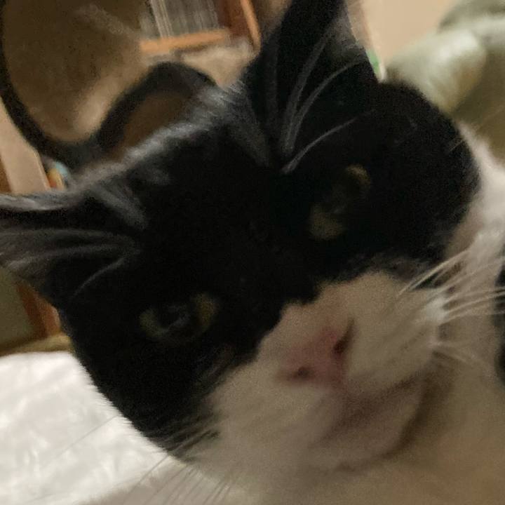 945d122b 90db 4928 ad4a 1f4e18159d4d 1673598672945