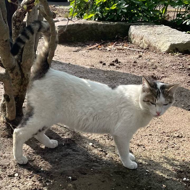 945d294c fd52 41bd 9d6d 391b8dee8bd1 1650326276568