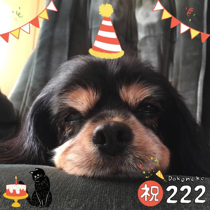 945d49bb 8ee8 4a97 9548 c15276b93c15 1645535284850