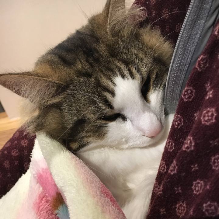 945d5d88 6979 4d8f 8f4e c8dda4c9b57c 1520600094208