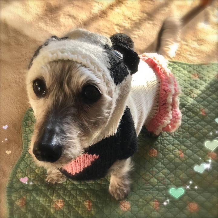 945db581 f609 4a7a af04 259706ab3051 1513640013493