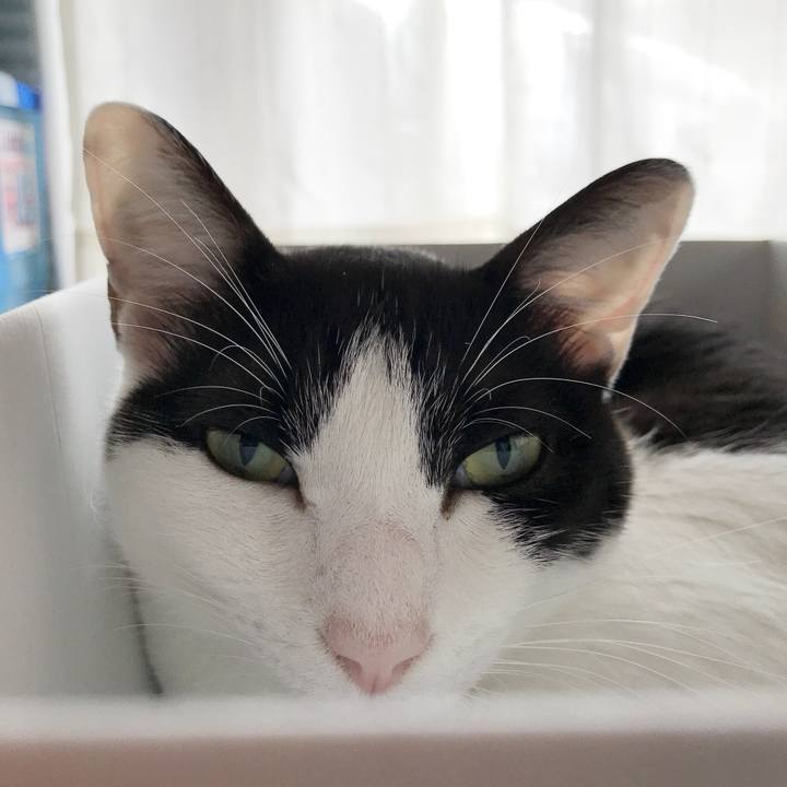 945dc5d6 9fb0 4aaa a560 1562cdf1295f 1535770045123