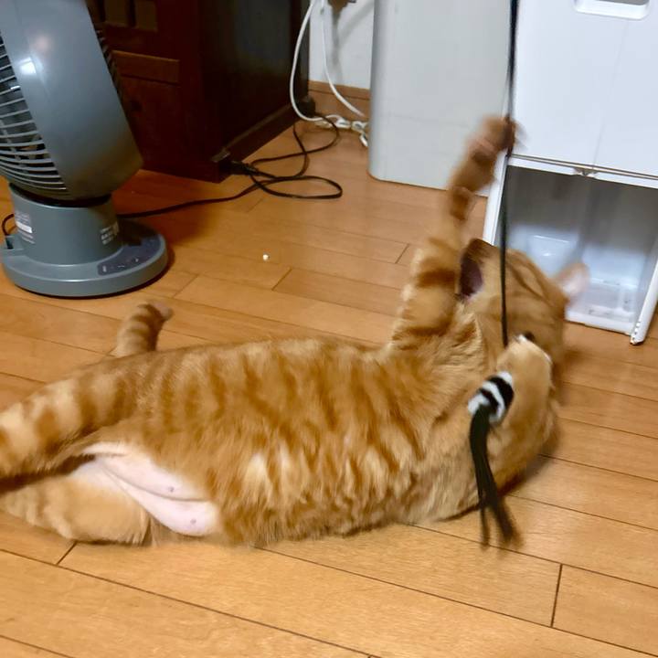 945ddb04 86c6 4d86 88cd 16303c0bfed9 1755173003797