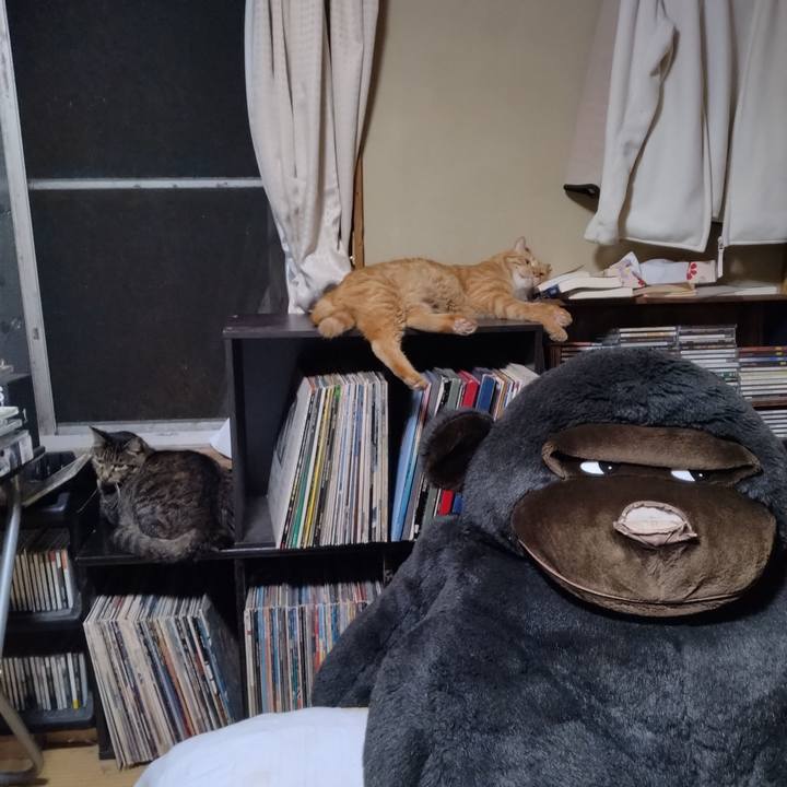 945de1fc 4c8c 4c0d 8bc1 4969225635a2 1692361203190