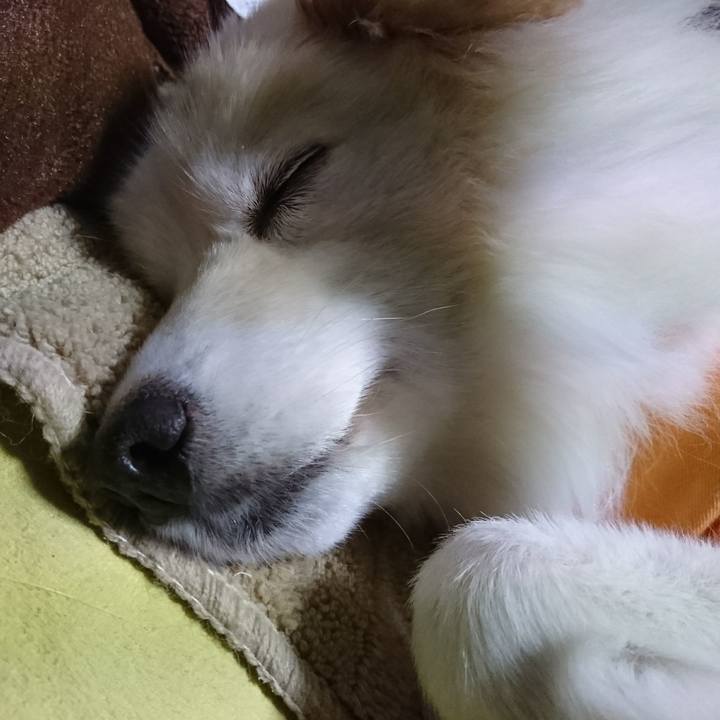 945dfcab 546a 46a1 ae18 82a577cfcc79 1514983588566