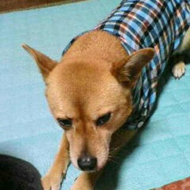 945e0a96 1578 4706 b034 712d2caafc6c 1560638551919