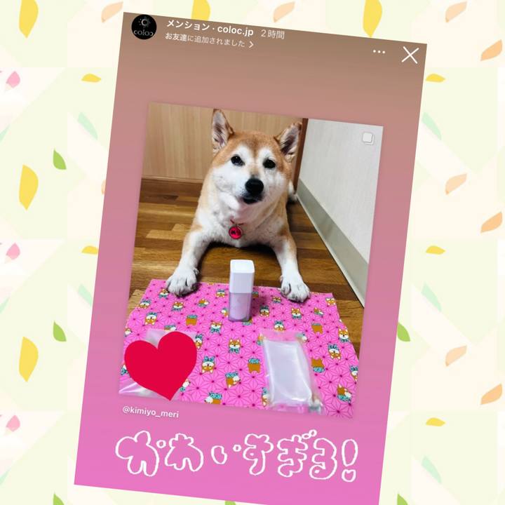 945e1fa1 1aa8 40a6 a11c 15cd0eba4468 1727416174993