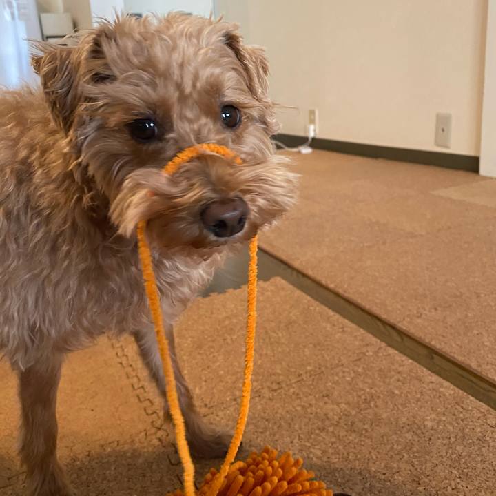 945e3168 2b4a 4a89 ab9d 05f217d533e5 1615594099111