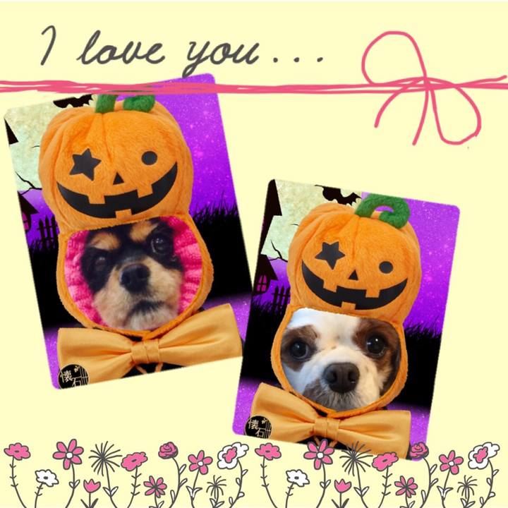 945e4050 7be5 41cf bd64 1c28303f3889 1540981721780