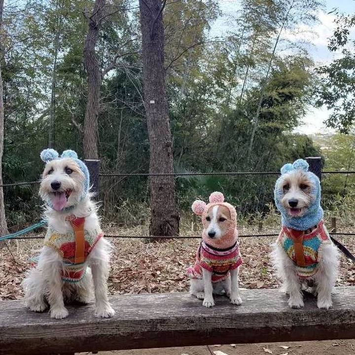 945e702b 2f0b 4390 adfd fd223ffabbff 1769938958112