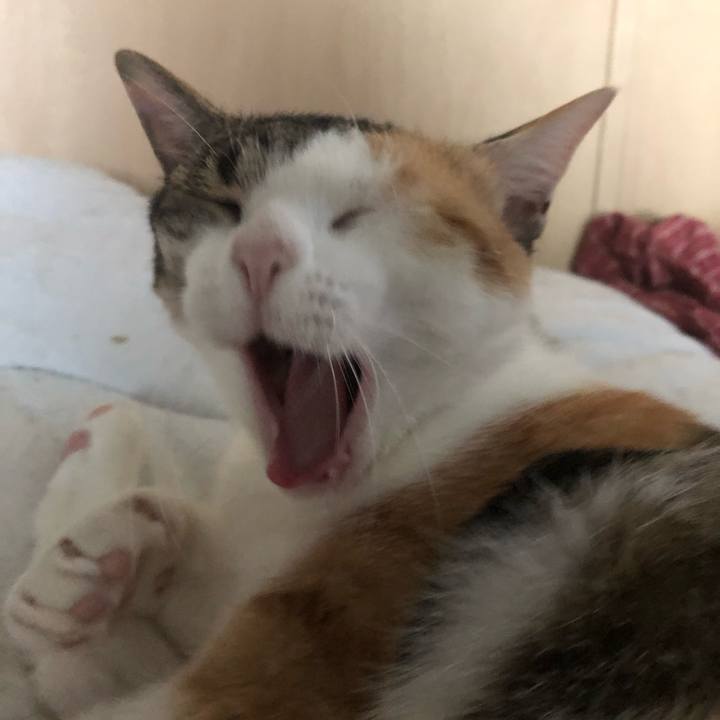 945e741a 49d5 423c b06e 6c34e55369df 1593136138347