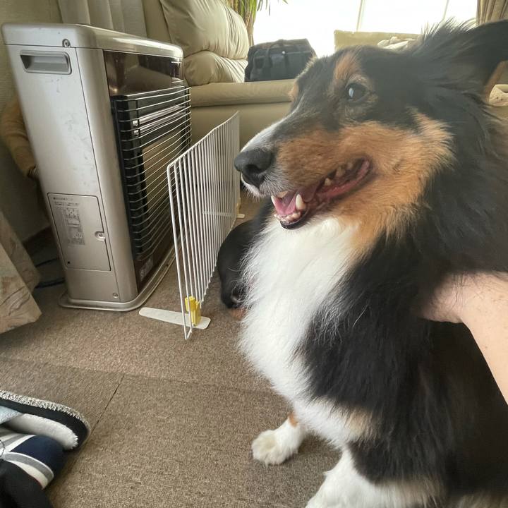 945e8535 8a81 473d 8dcf 9e541906c161 1616712212928