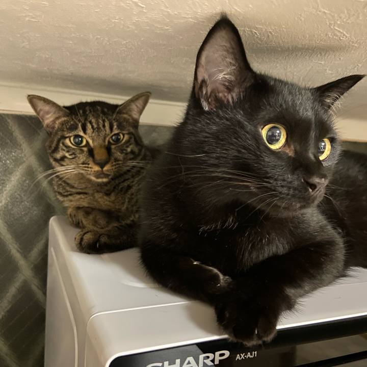 945ea807 480a 40b1 acaa 98d54f8ca391 1628766770006