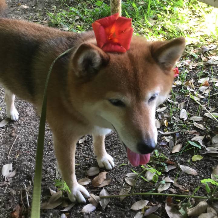 945ef042 3622 4d02 a2f0 57971d253613 1560927591051