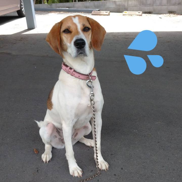 945f1138 ad7e 4f2a be27 b6c61446a59a 1595981993081