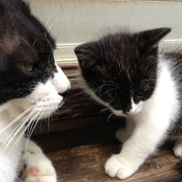 945f2f3e 08b4 4e8e b564 fbf70d9224fa 1522198065193