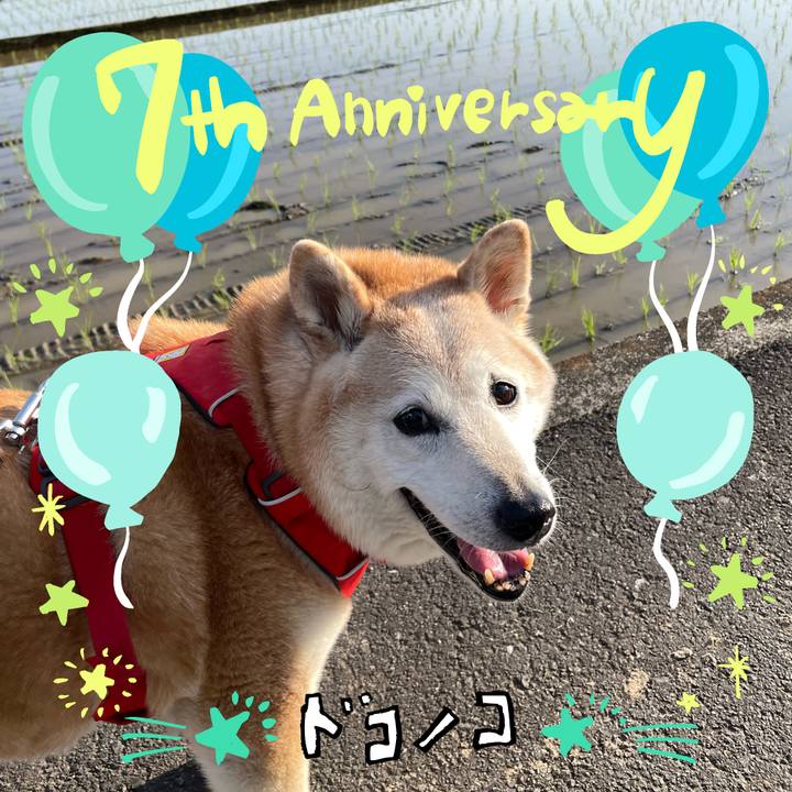 945f4725 8362 4e0c a886 0c1236c78038 1685976323933