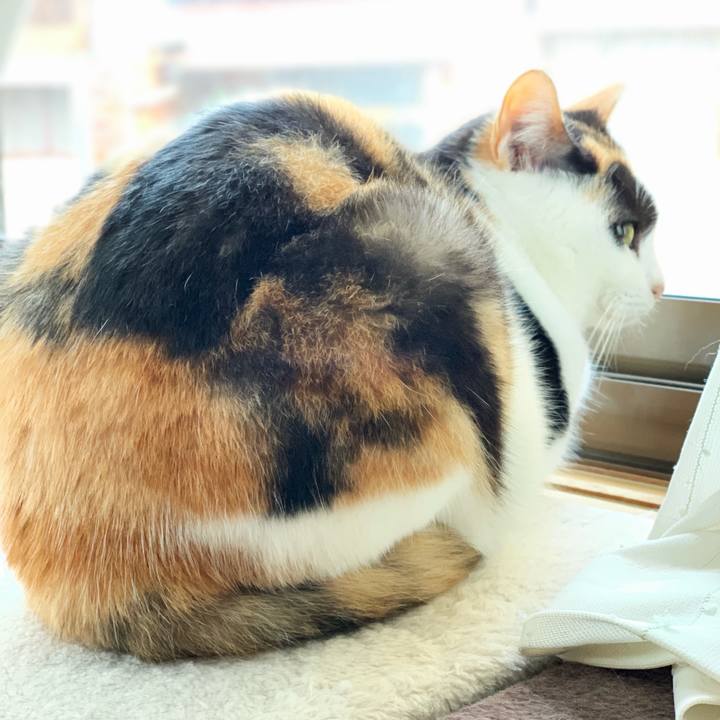 945f4fed 65b8 48eb a1af 564286f778b7 1544408212797