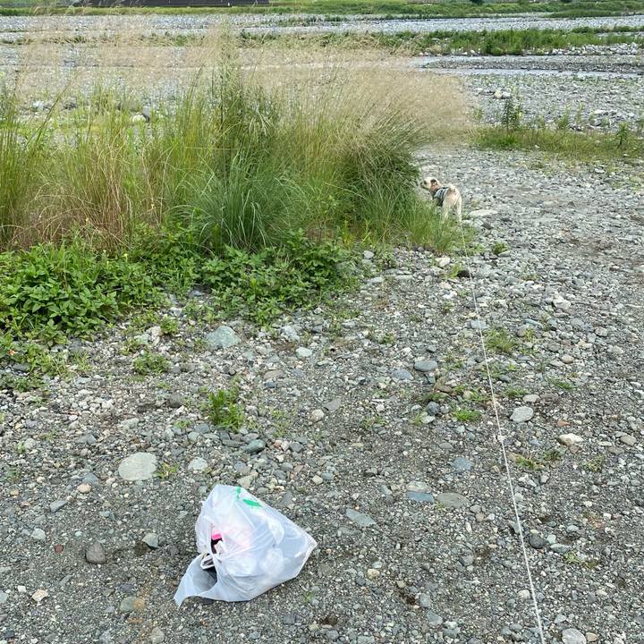 945f6a62 a383 4aa1 bbb5 ddd765b8e7d9 1658107477749