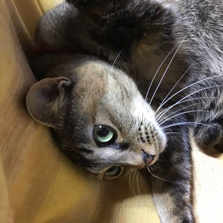 945f90ef 4ad6 4579 977c 0e8db23a239c 1611824153539