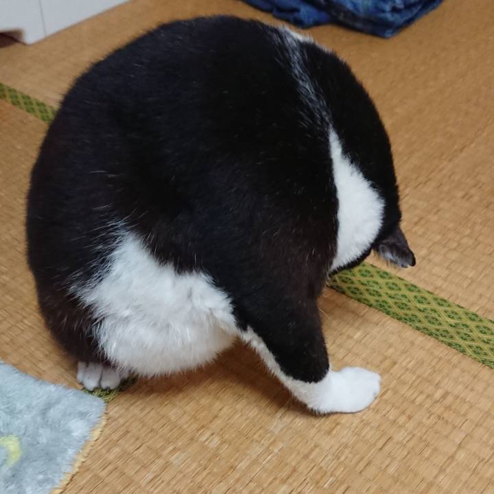 945f91fc a243 4226 beae fc0c6b03865b 1540610171977