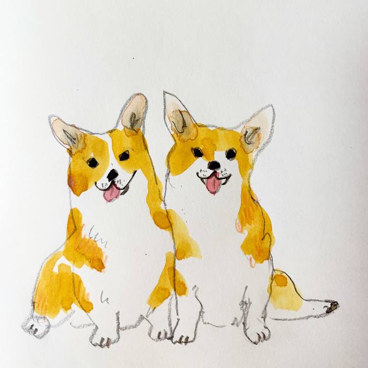 945fb11a 6e18 40ed b08e ed8812e8e53b 1590490422017