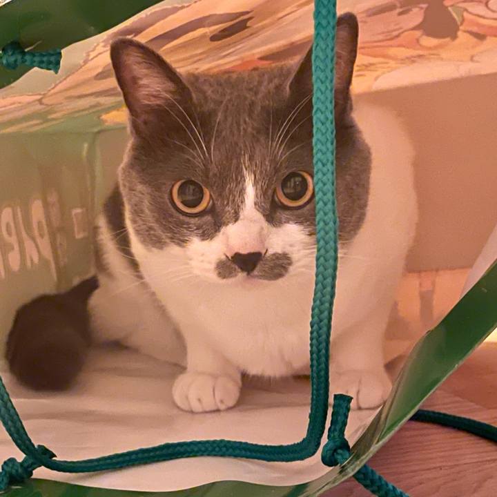 945fcf13 3ad7 430a b7b5 9efaf9dcacf4 1657011144120