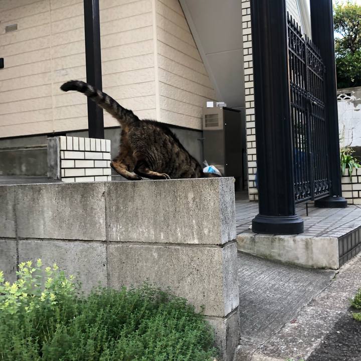 945fcf96 819e 404f 8b25 36632305d77c 1656518755690